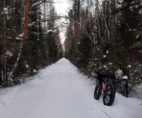 �������� 15 000 ���������� �� ��� �� ����������