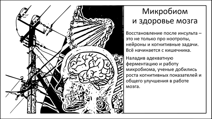 ���������� ����������� �������� ���������� � ���������