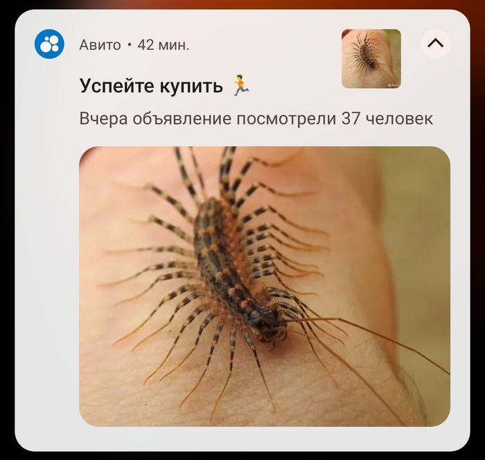   , ,   , 