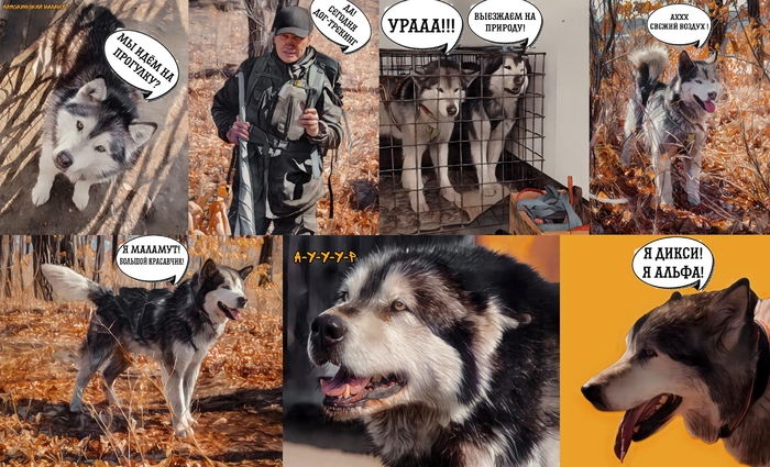    , , , , , Nikon, , , , ,  