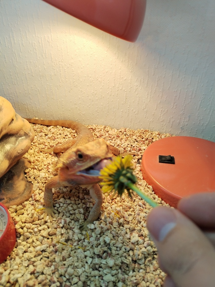   ,    ,  ,   , , , , , 