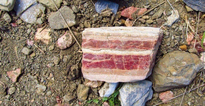 Знакомый ультрамарафонец прислал вот. Говорит был соблазн откусить.