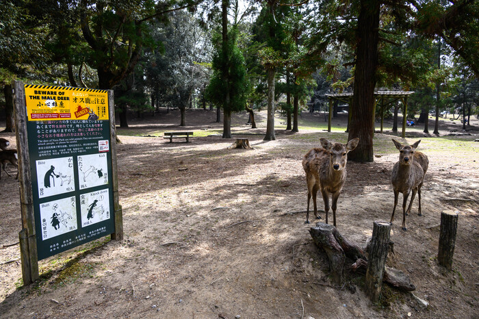 "  ?   ?".             ...