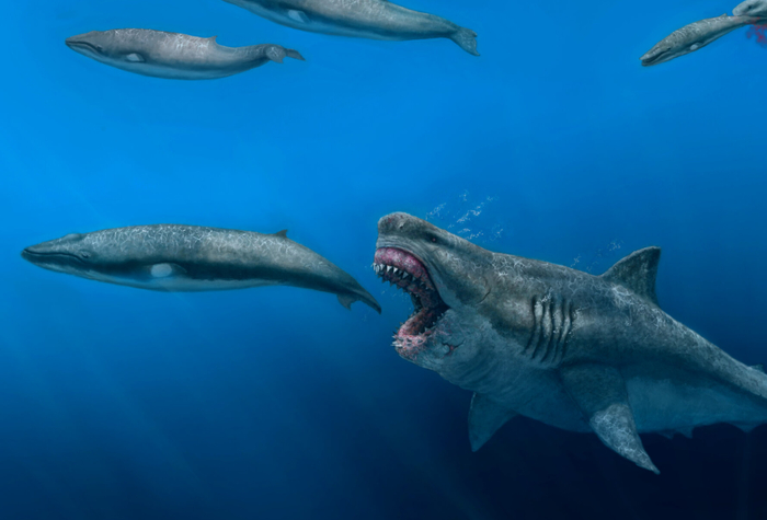 ,  ,               .     .