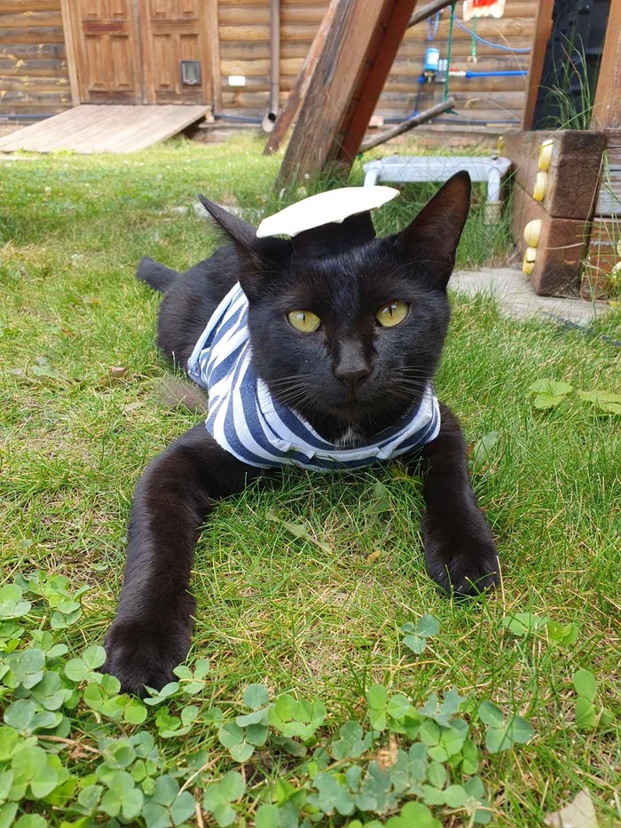 ��� �������