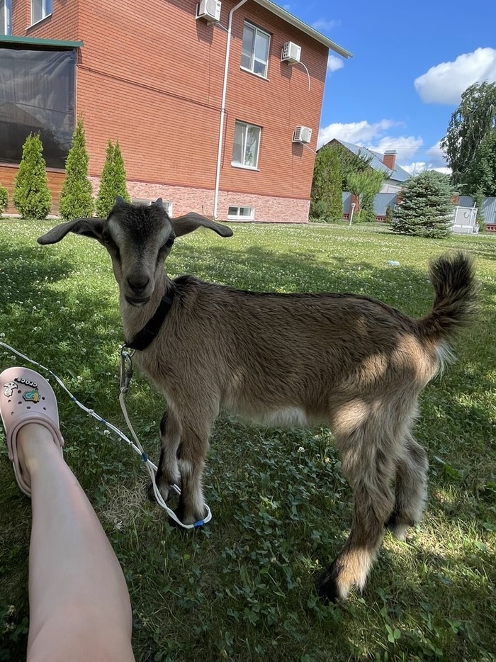 � ������� ������� � ���� ������ ������. ���-�� ����� ������� 