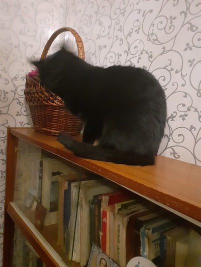 Иллюстрация к комментарию