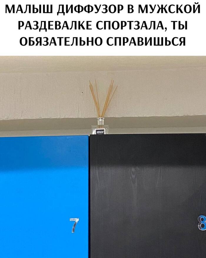  ,      ,   , , , , Telegram ()
