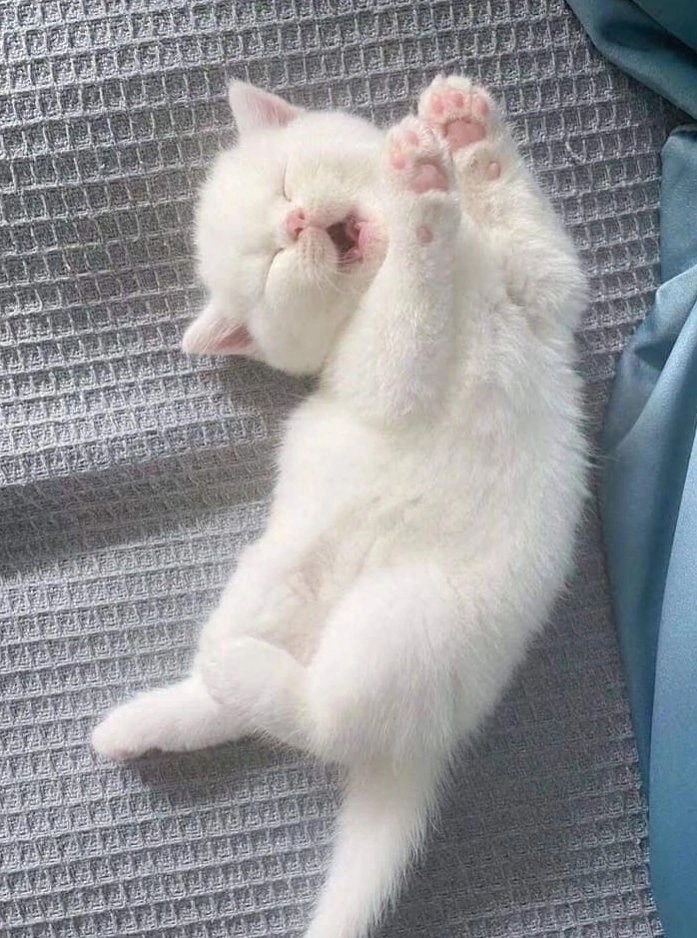  , , , , , , ,  ,  