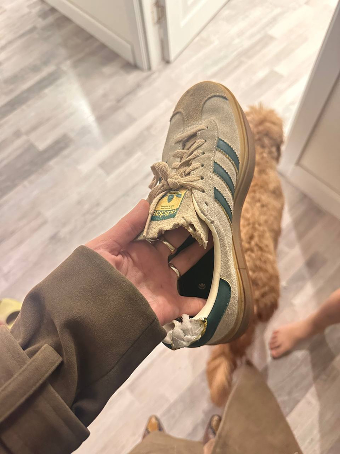 ���� �������� ���: