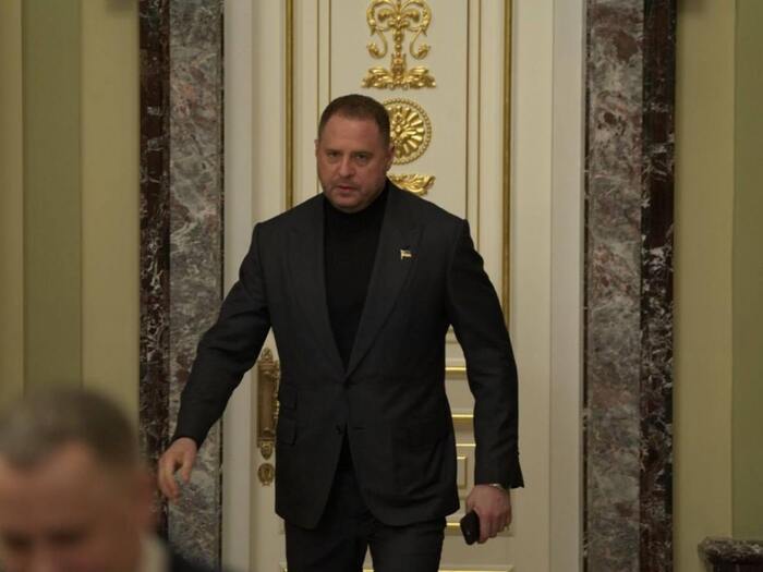 Они научились надевать костюмы