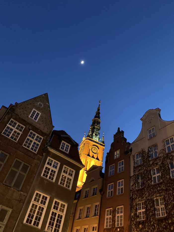 Так она выглядит с заднего двора