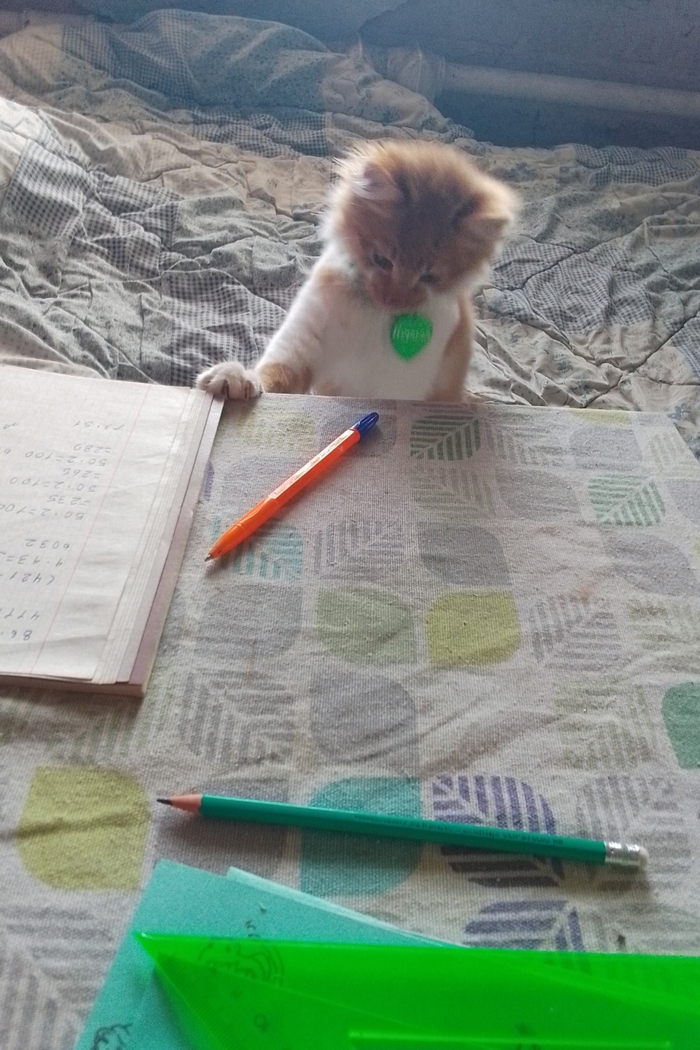 Люблю его ♥️♥️♥️