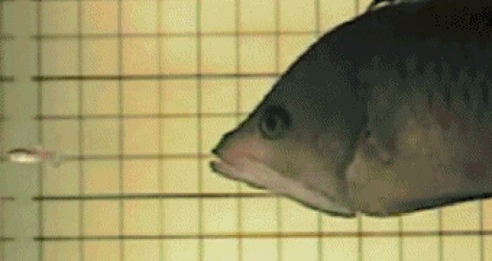  ,      15  , , 