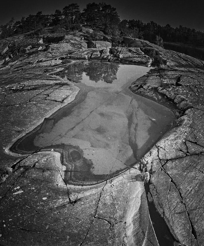  . -8, Mamiya M645 1000s, Ilford FP4+, D76 1+3