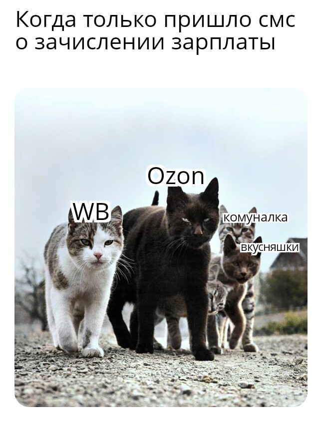 Всадники денежного апокалипсиса