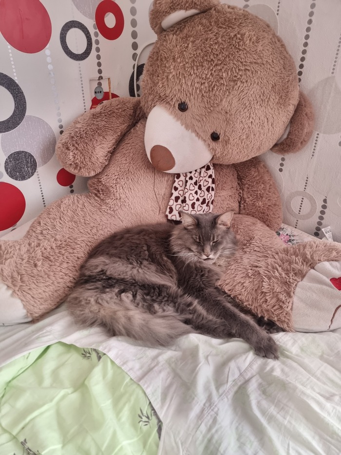 ����-���