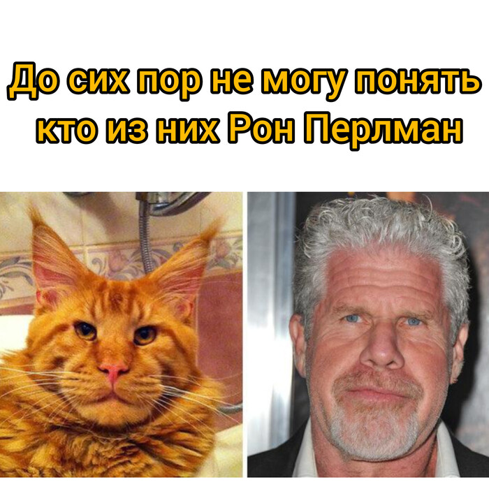           ,  , , , , ,   ,  ,   