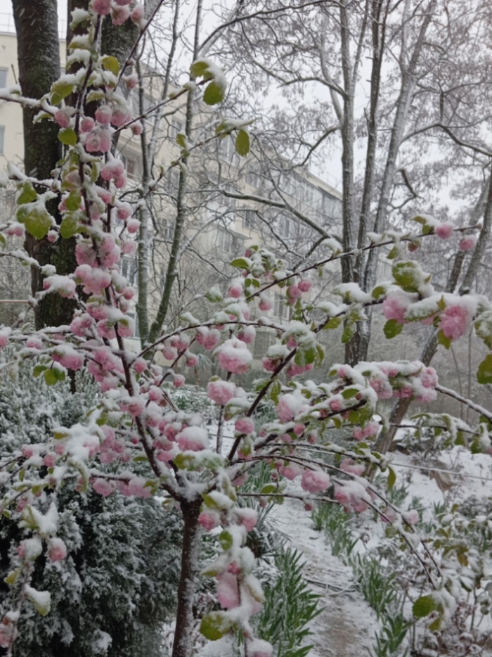 Фото Е. Зябловой.