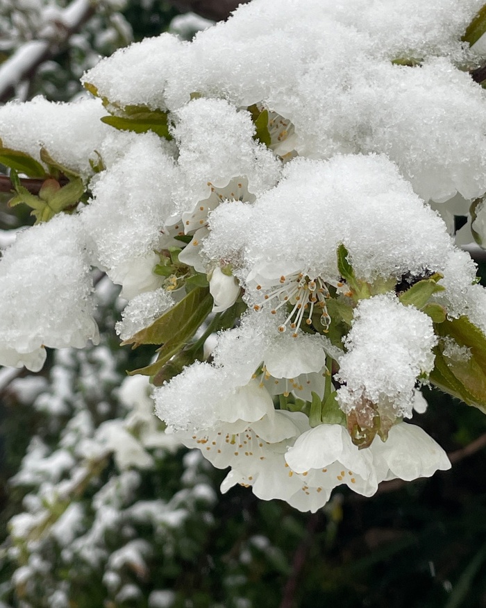 Фото А. Хмель.