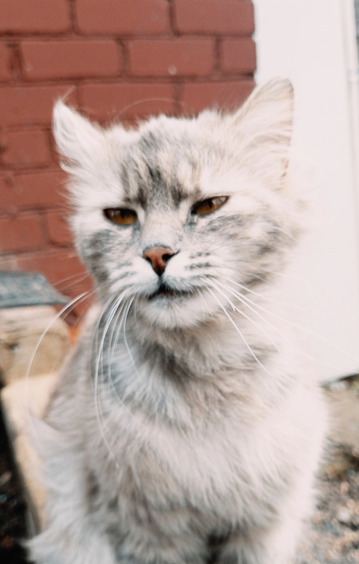  ,      , , ,    ,  , ,  , ,  , , 