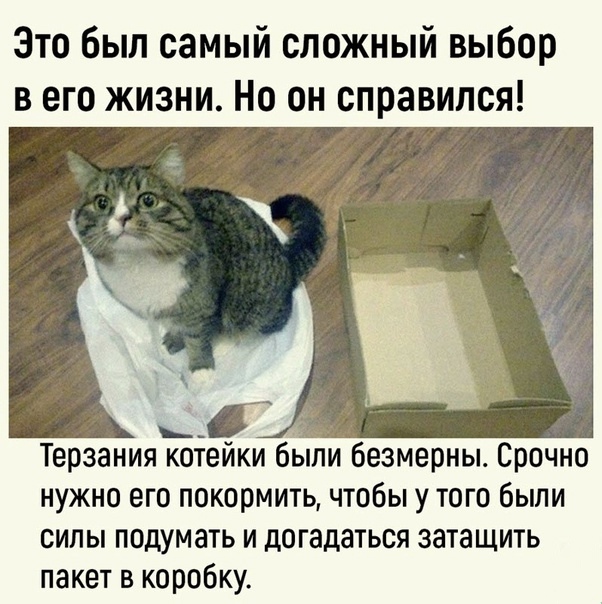    -  ! , ,  , , , ,   