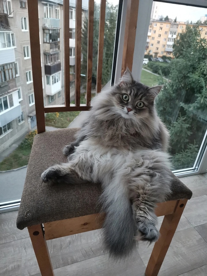 Разватрушилась