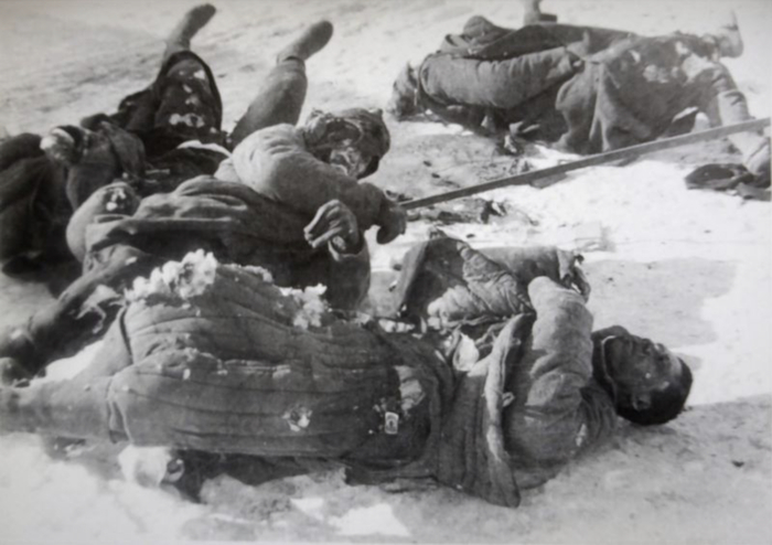 Тела красноармейцев, погибших во время боев под Москвой