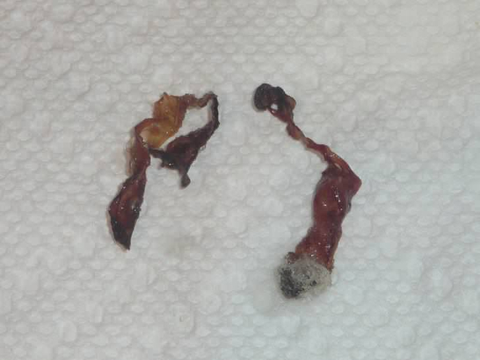  .       ...  ,   .    ,    .      ?   .