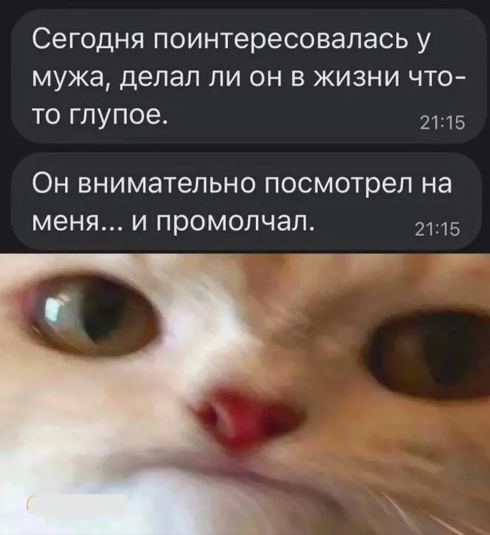 ogkozhsl.webp