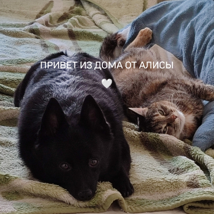      .    ,        ,  , , , , , 