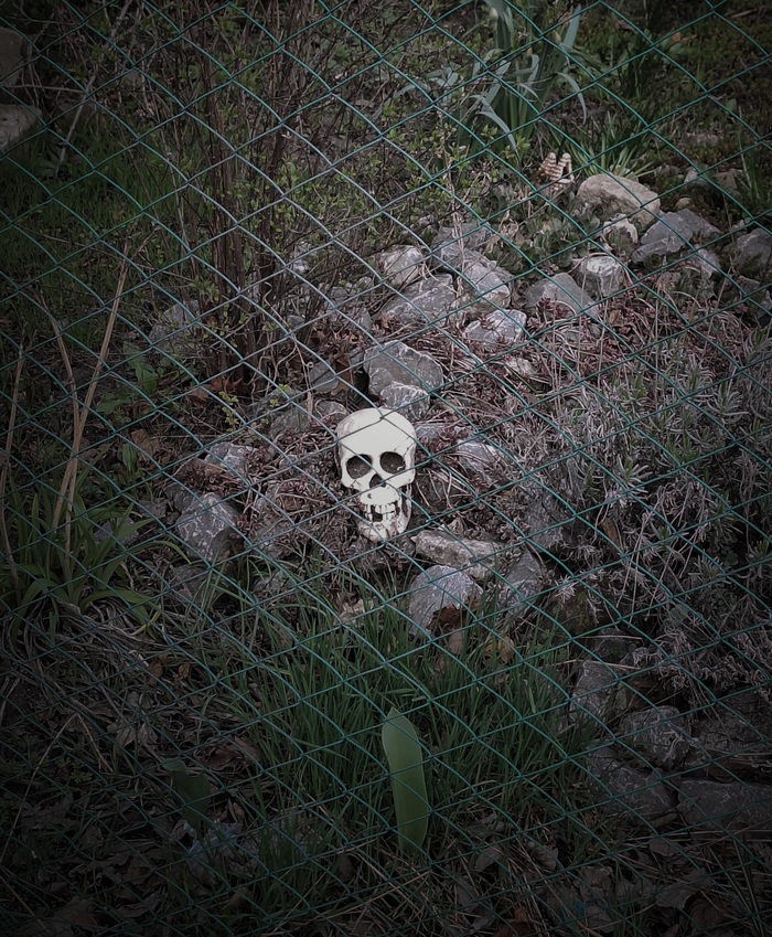    .  , , , , , ,  ,  