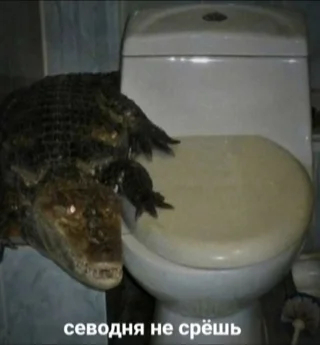 Упс