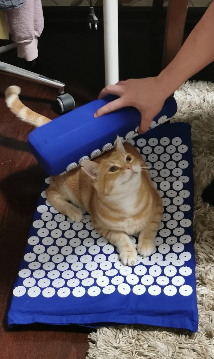   , , , 
