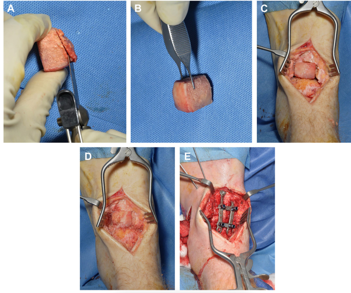 ��� ��� ���������� ������� �������� ��� ��������� ������� ����������� �����. ����������� ������������ ������ ����������� ����� � �������� ����������.