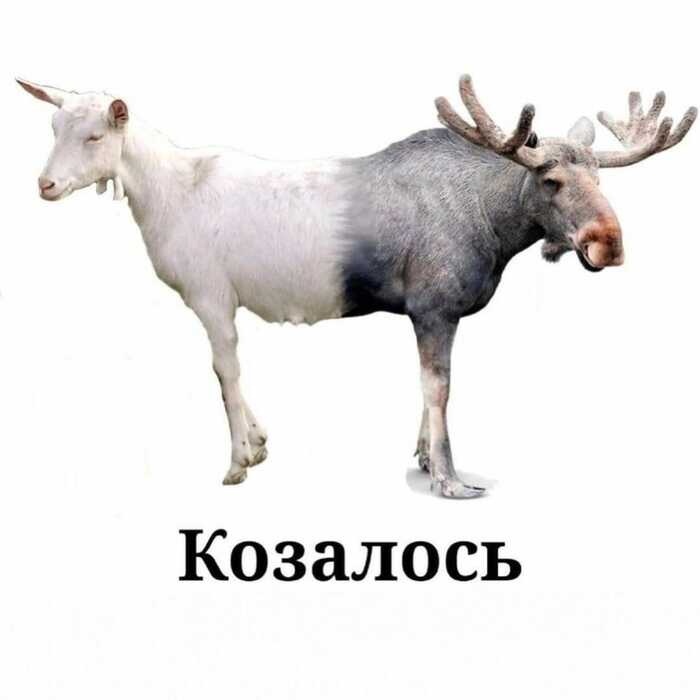 А это баян на байт... Ну и отсылка к двум новостям за последние дни... (Эта картинка уже была Пикабу)