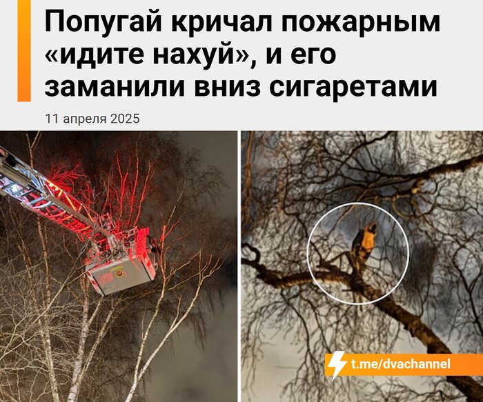 Во все тяжкие