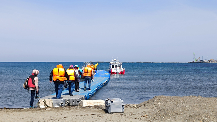Наша смелая команда отправляется в кругосветку…вокруг брекватера.