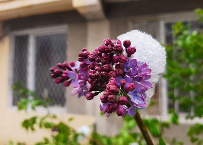 �� ��� �� ��! �� ���� �������� �����.