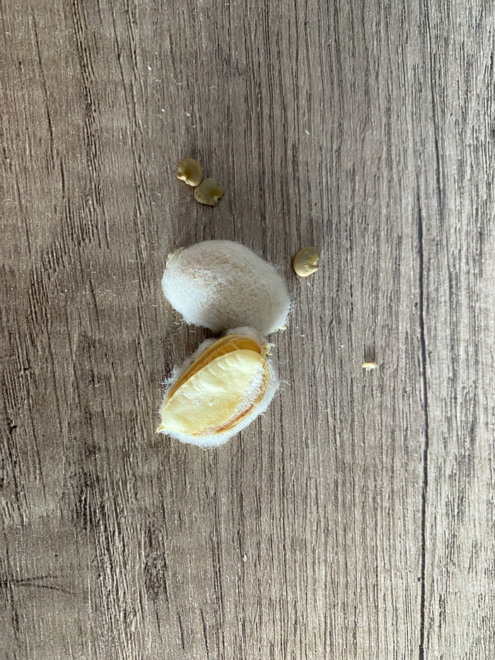     , ,   , ,   