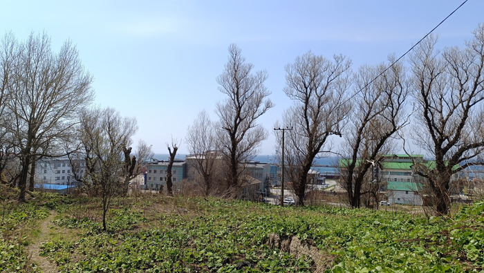 Все выше, и выше, и выше. Вид на город с середины тропинки.