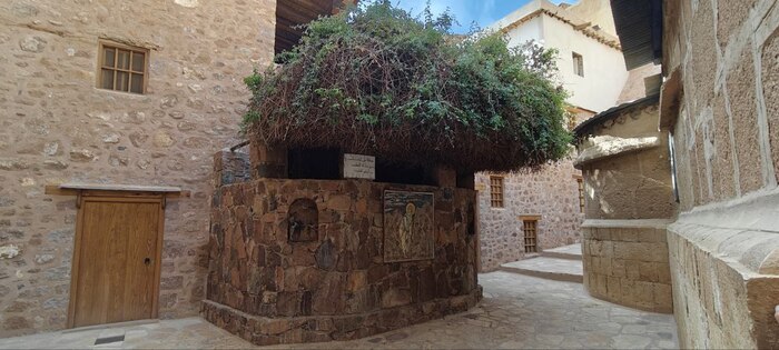 Неопалимая купина