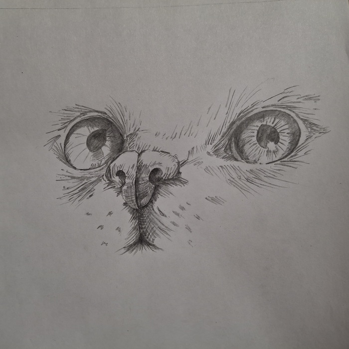   ,  , ,  