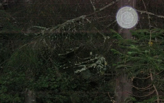 ���� ���������� � ������� �����