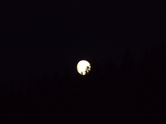 Вечность смотрит в тебя