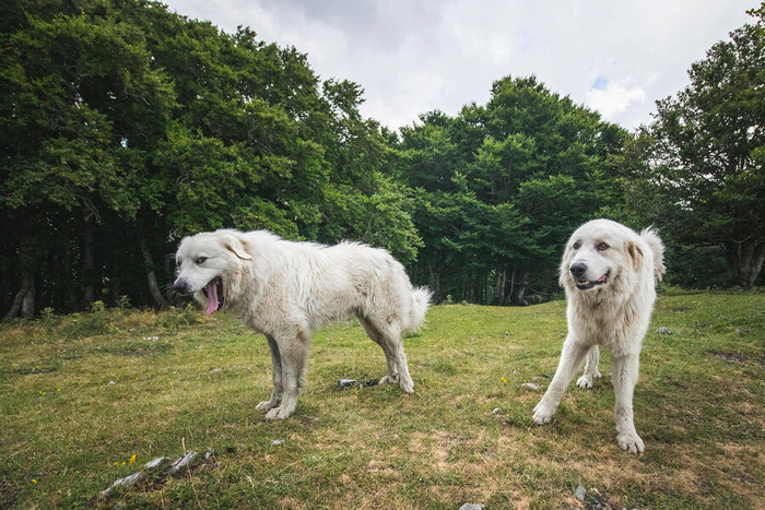 PCB: ����� ����� �� ������� �������� ���������� ������ � ����� ��������