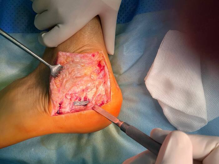 ����������� �������� ���� ������������������.