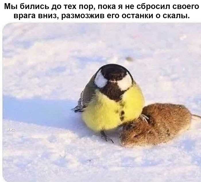    , , , ,   ,  ,  ()