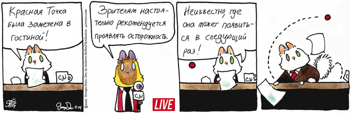 Котейкины Новости от 14.04.2025