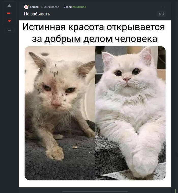     , , , , , , ,  , -,   , , , 